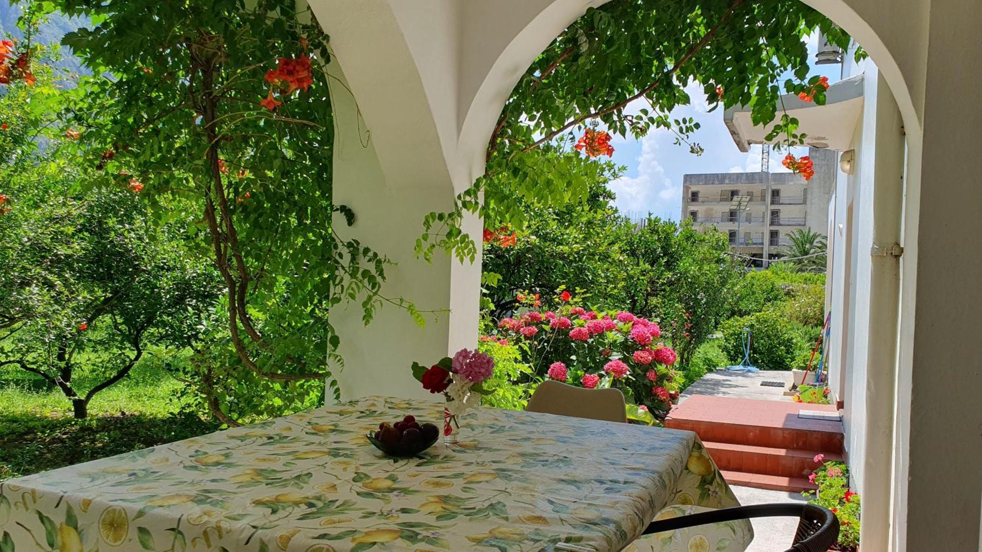 Apartments Ognjenovic Risan Exterior photo
