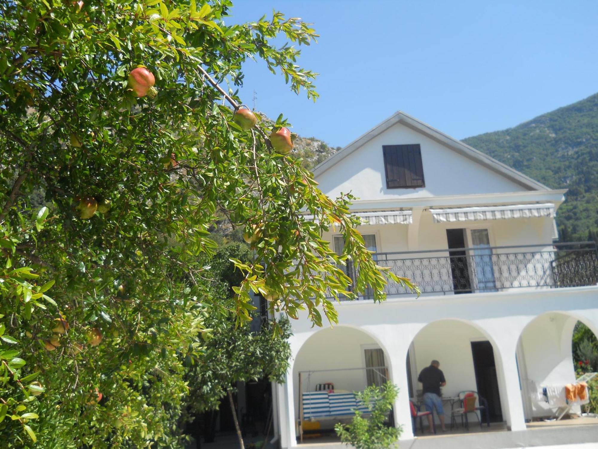 Apartments Ognjenovic Risan Exterior photo